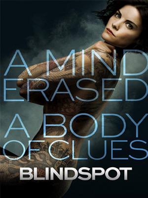 Blindspot Season 01