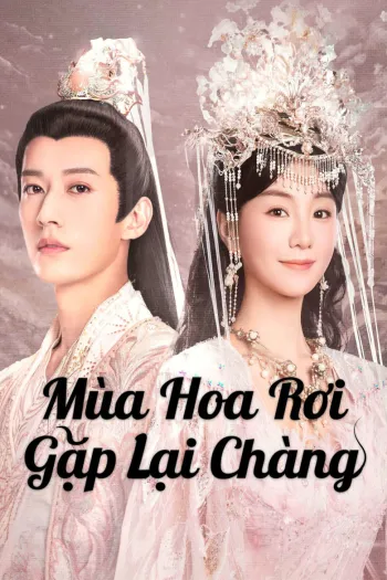 Mùa Hoa Rơi Gặp Lại Chàng